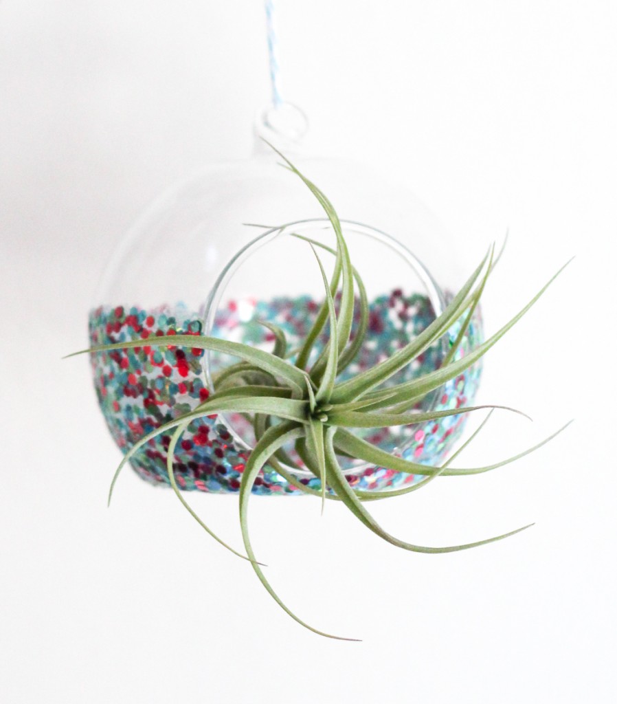 DIY Glitter Dipped Air Plant Holder | The Crafted Life