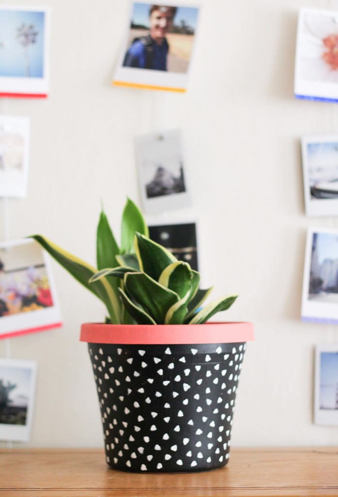 DIY Painted Planter | The Crafted Life