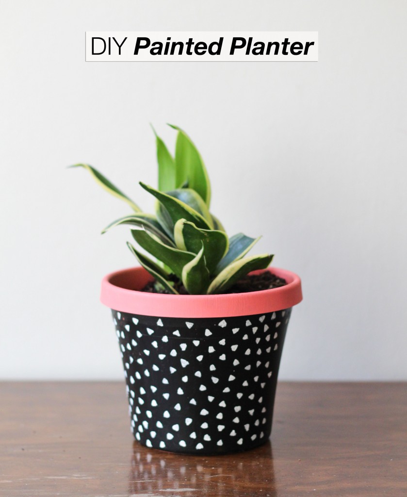 DIY Painted Planter | The Crafted Life