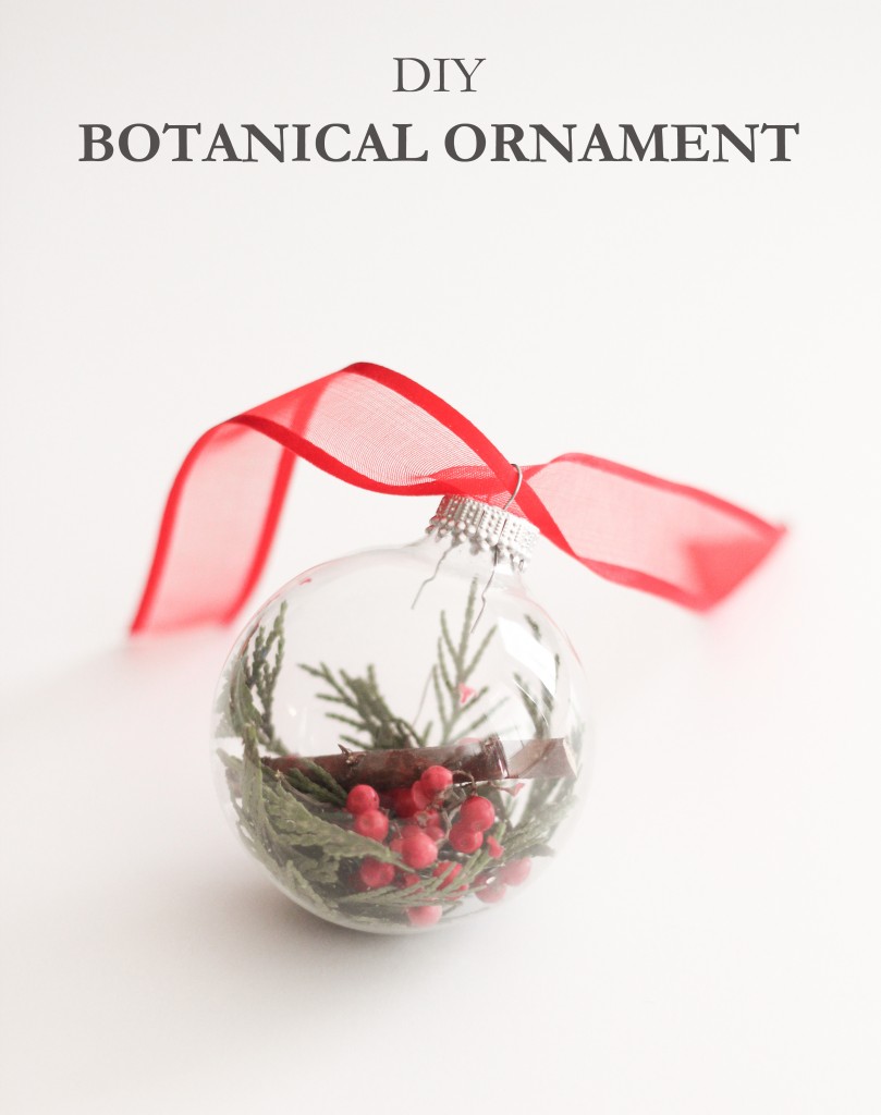 DIY Botanical Ornament | The Crafted Life
