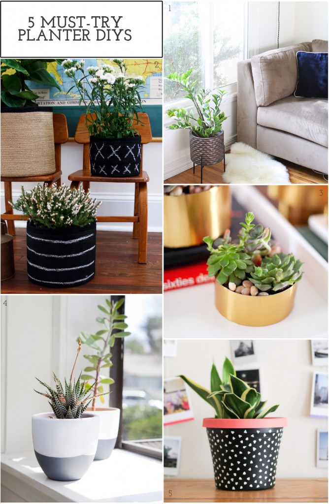 5 Must-Try Planter DIYS | The Crafted Life