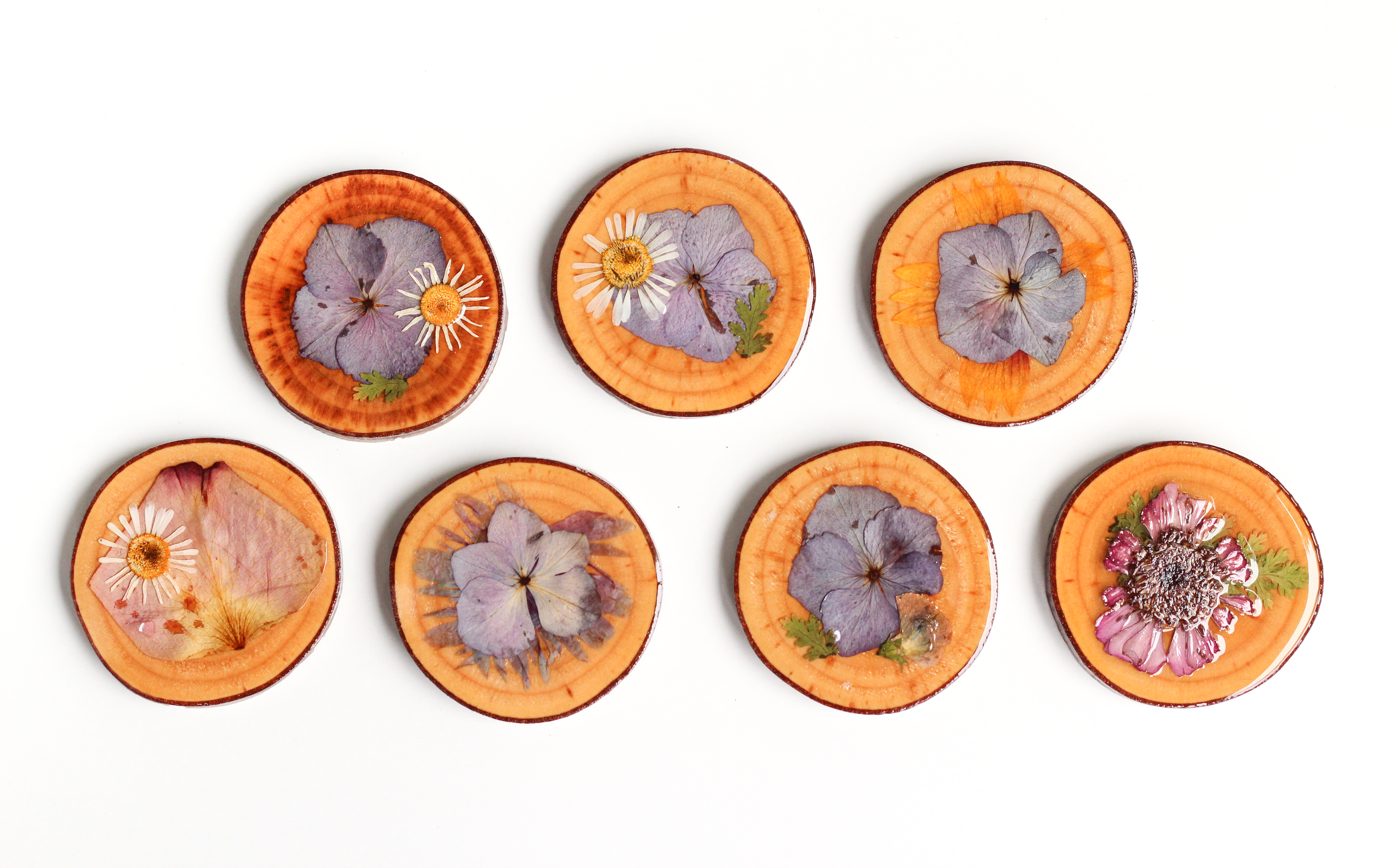 20 pcs Multiple Dried Flowers DIY Real Pressed Handmade Dried Flowers for Craft