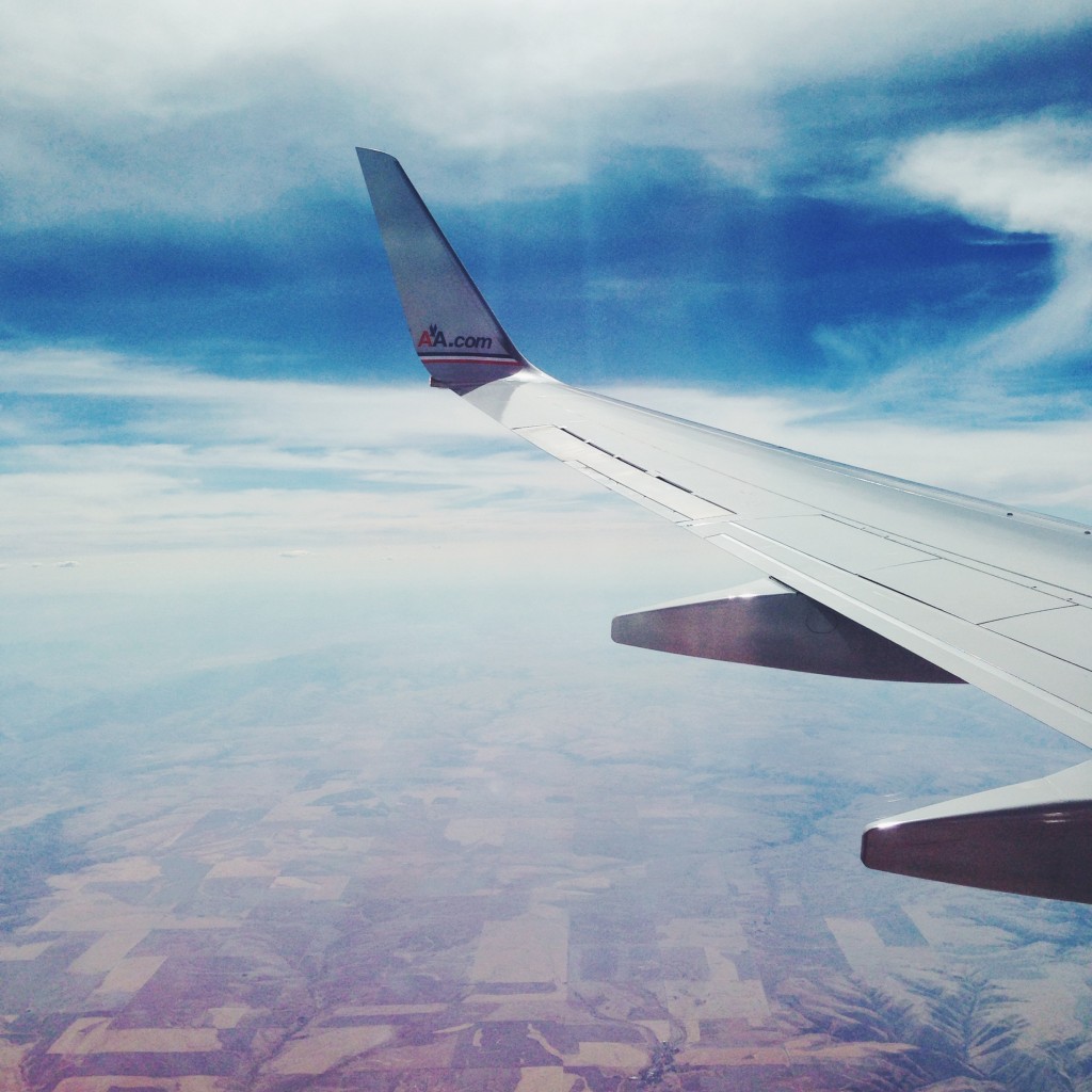 View From the Plane by @thecraftedlife