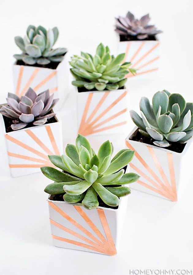 11 DIY Planter Projects for Spring