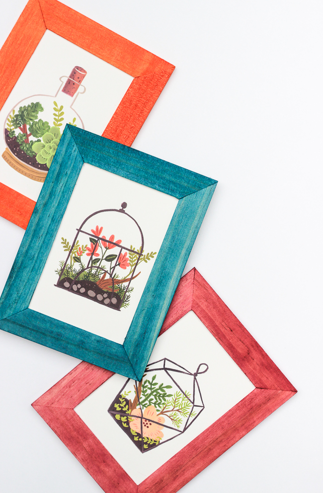 Makeover boring wooden frames with a pop of color!