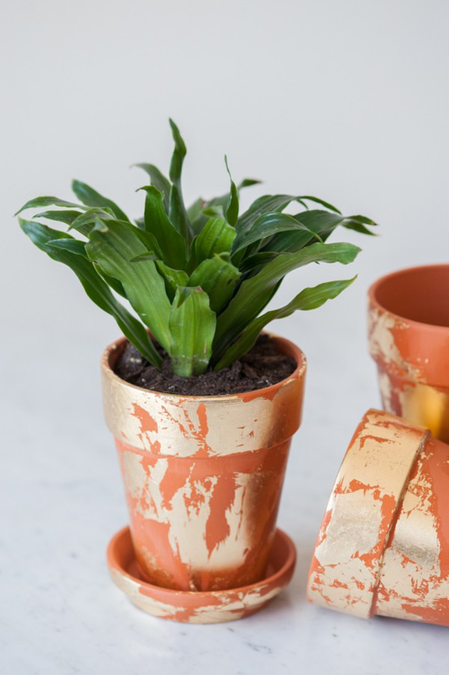 10 DIY Planter projects you have to try!