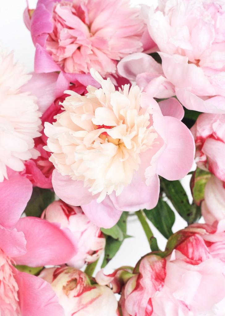 Peonies by @thecraftedlife