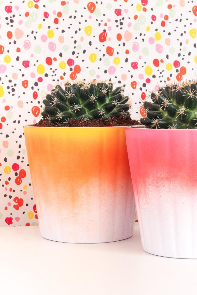 Learn to make these colorful and fun ombre planters in only 5 minutes!