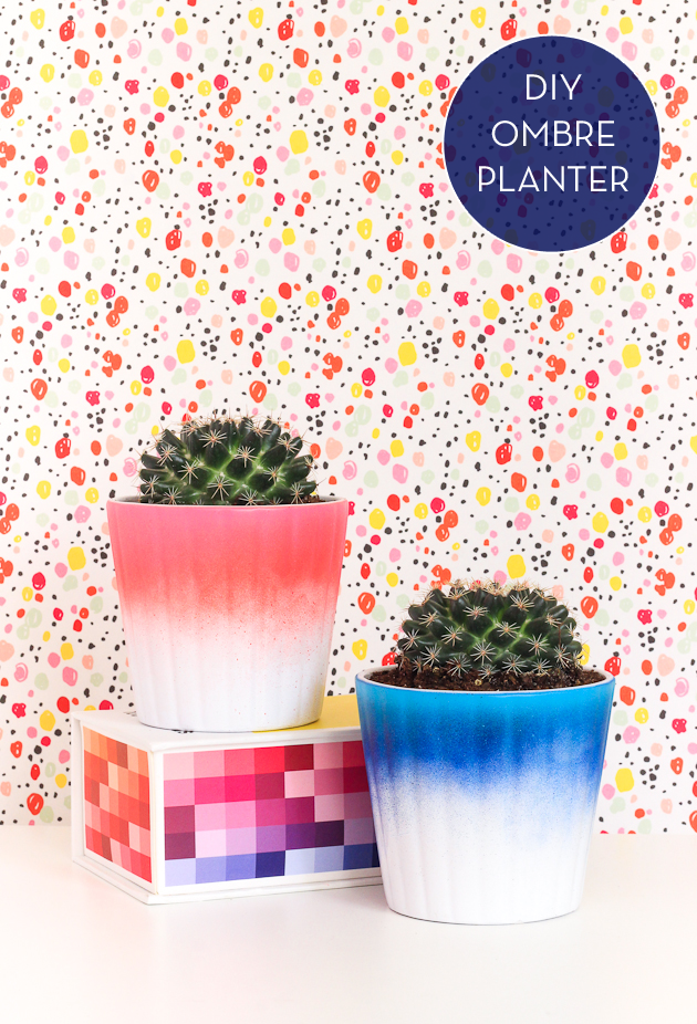 Learn to make these colorful and fun ombre planters in only 5 minutes!