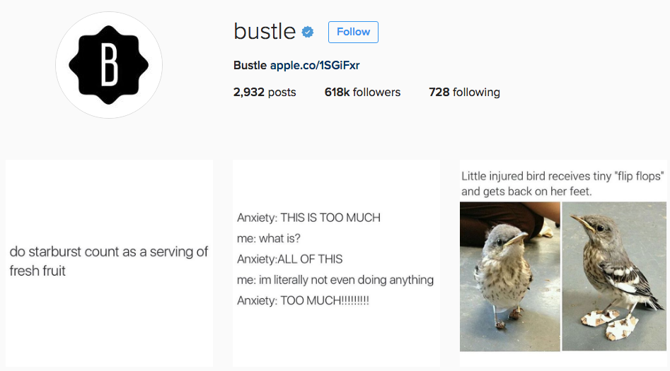 10 Hilarious Instagram Accounts to Follow