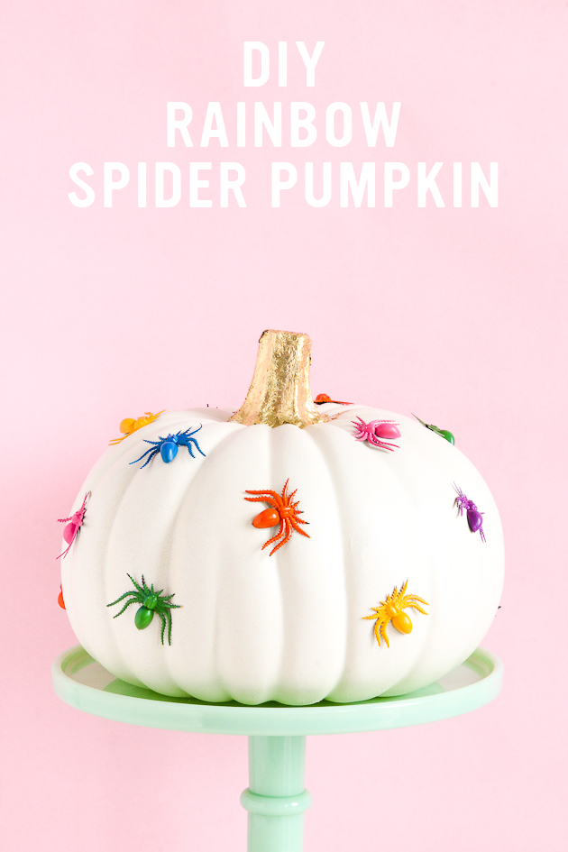 DIY Rainbow Spider Pumpkin 