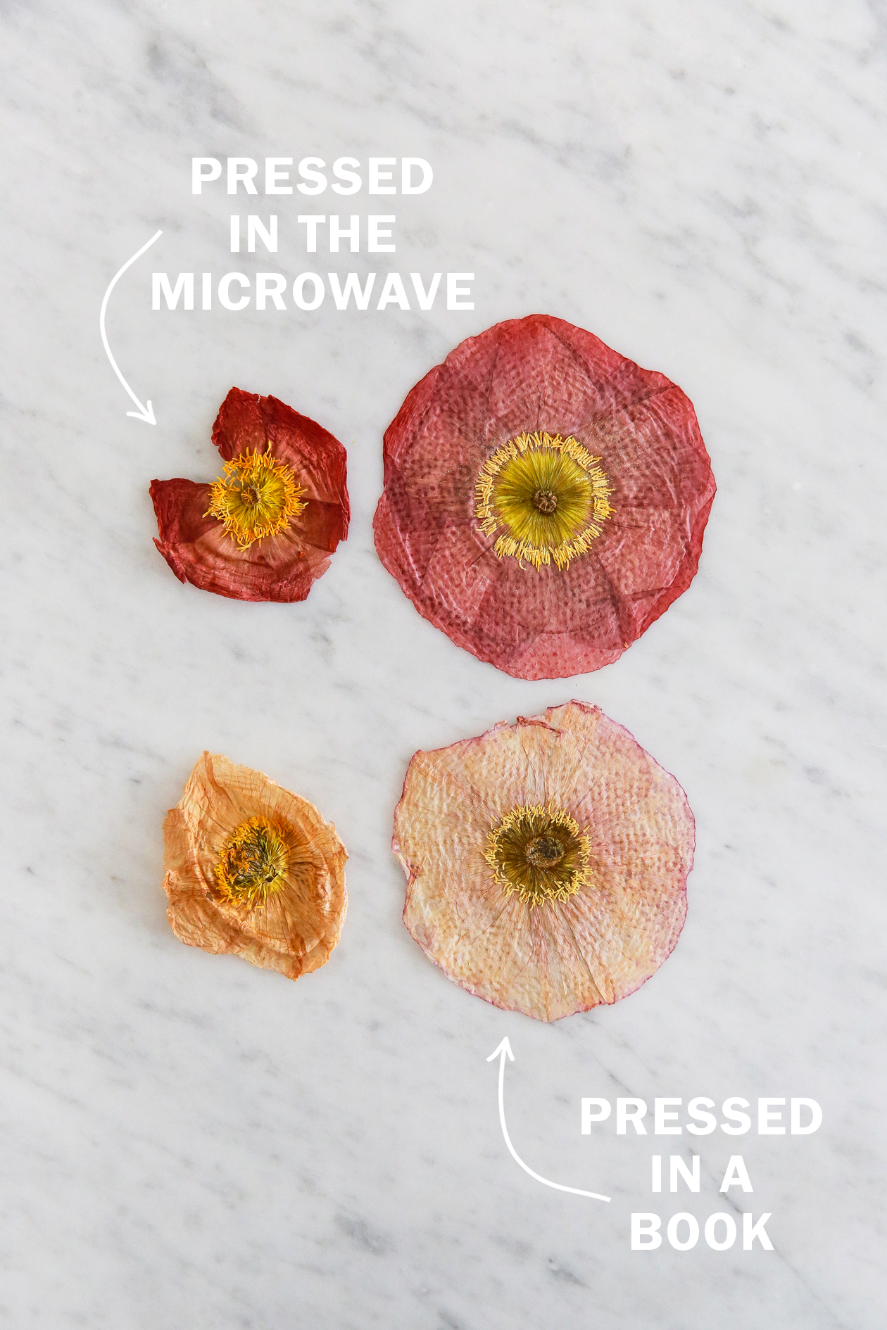 How to press flowers in a book vs how to press flowers in the microwave