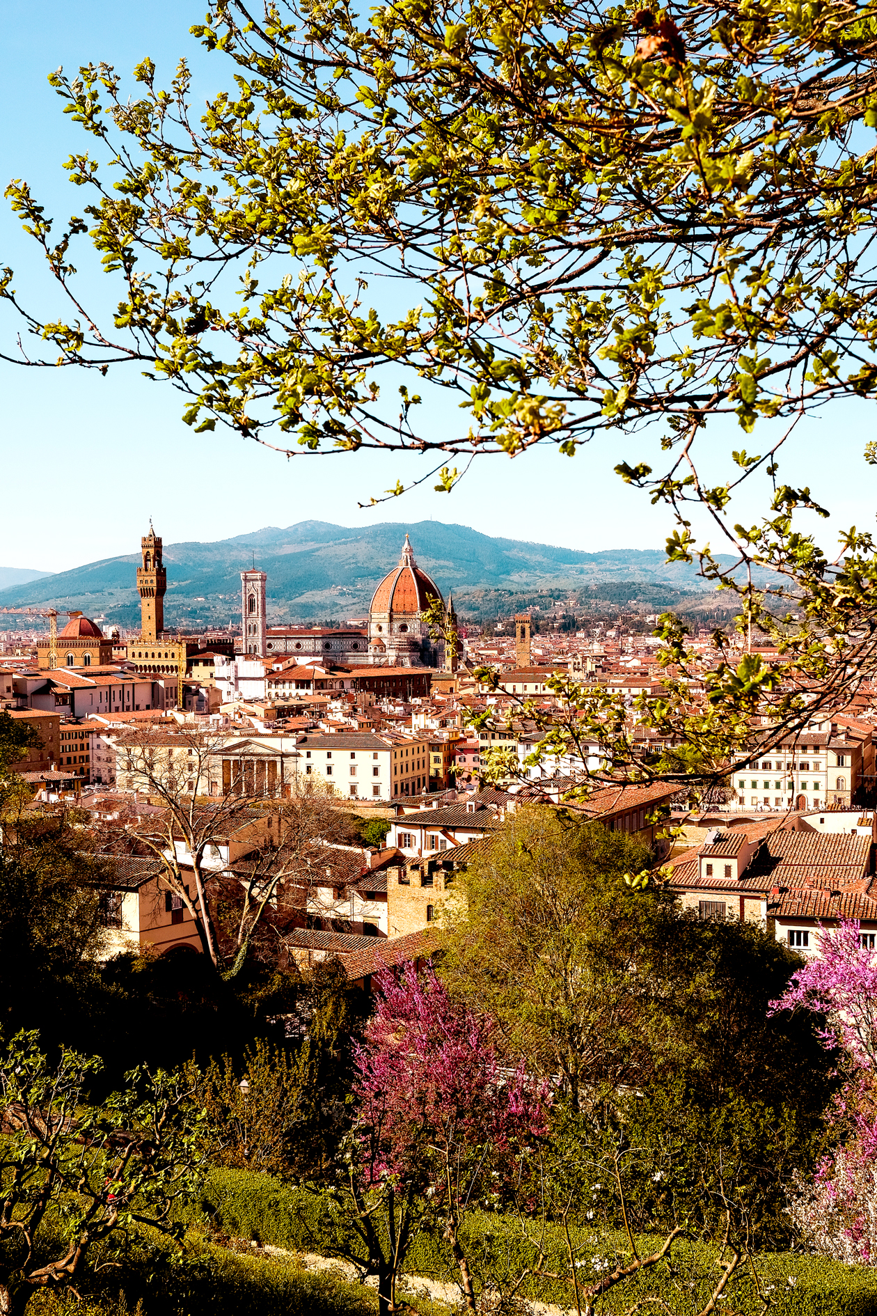 We went to Italy for our honeymoon and here's how we spent 5 days in Florence. If you want a travel guide to Florence, Italy (including where to shop, what to eat, and what to do) this is it. Photo taken at the Bardini Gardens