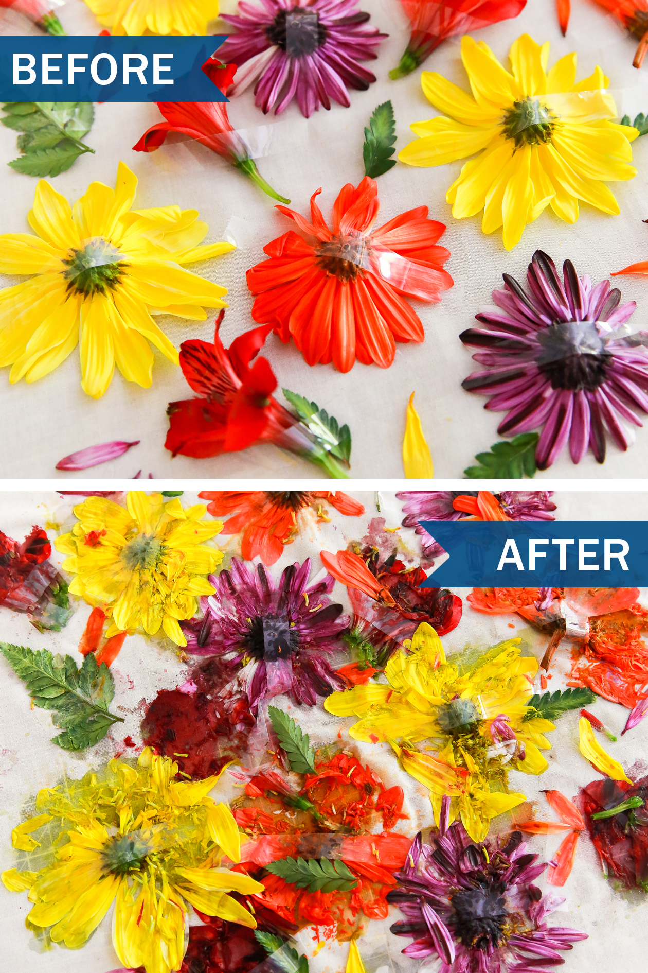Make this DIY Hammered Flower Art for your home in a few easy steps! All you need is fabric, flowers, and a hammer to get started. 